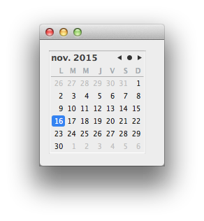 Date calendar view